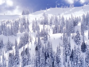 nature-desktop-wallpapers-winter-landscape