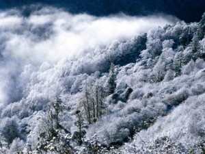 img737_s261