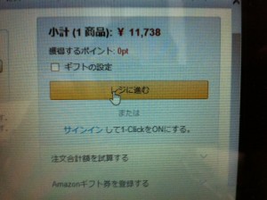 写真 (24)