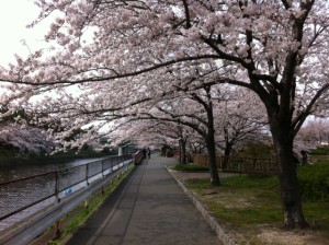 写真 (9)