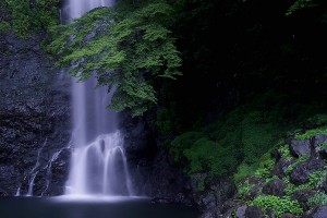0120080826010120080826029a750
