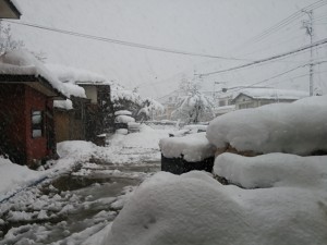 DSC_0220[1]