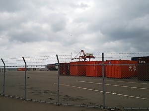 DSC_0308[1]