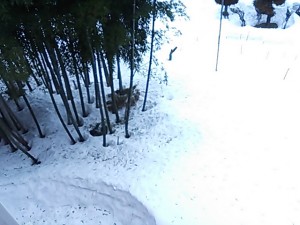 DSC_0318[1]
