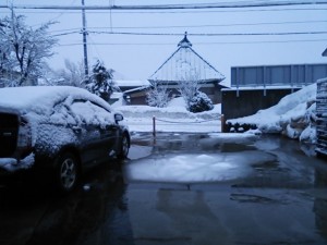DSC_0319[1]